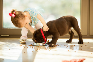 Puppy Eating 